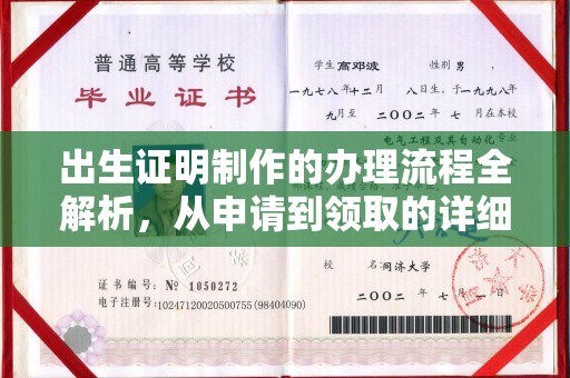 武鸣出生证明制作的办理流程全解析，从申请到领取的详细指南